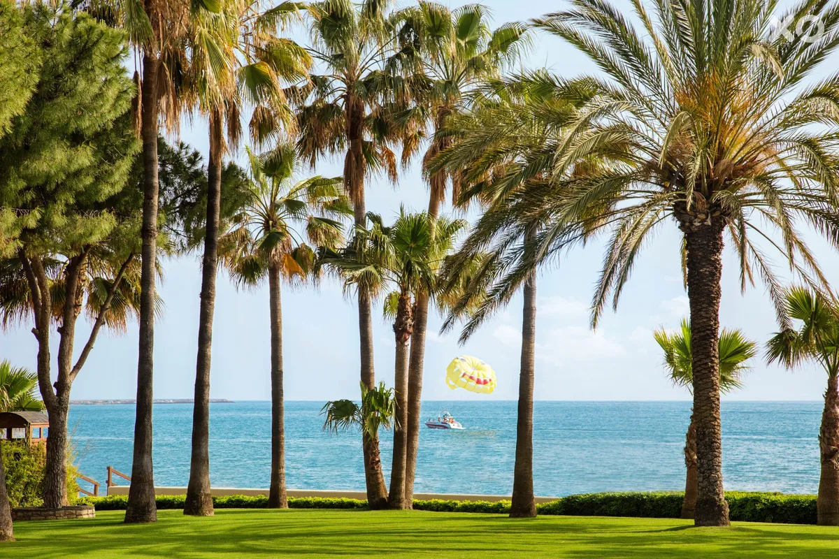 Acanthus Cennet Barut Collection