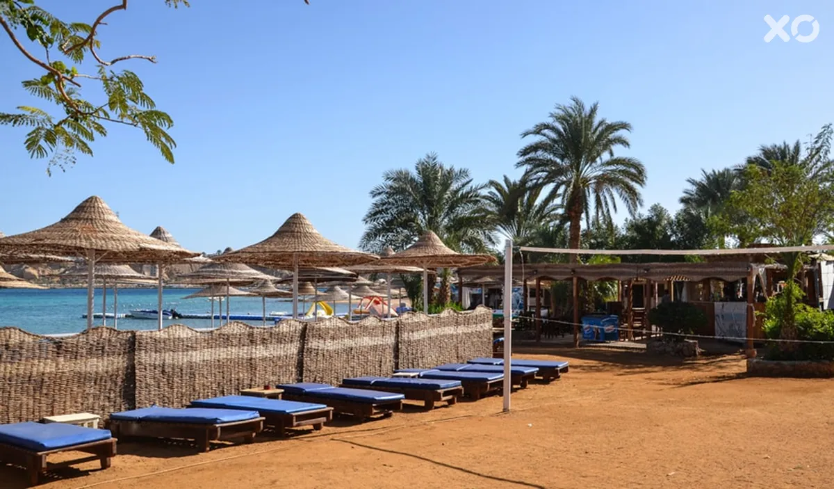 Old Vic Sharm