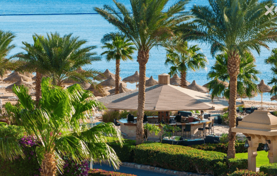 Твой идеальный отпуск в Baron Resort