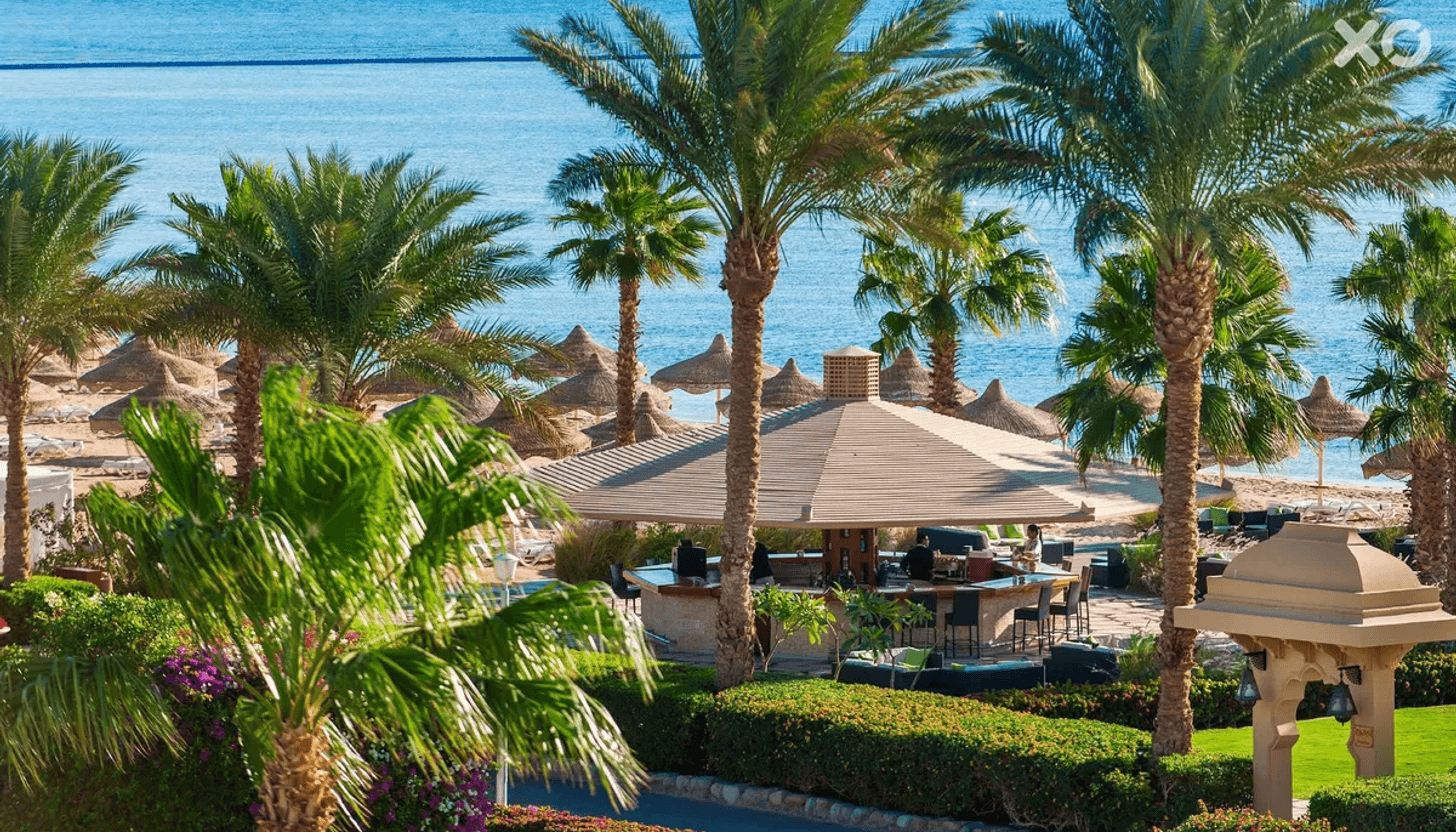 Твой идеальный отпуск в Baron Resort