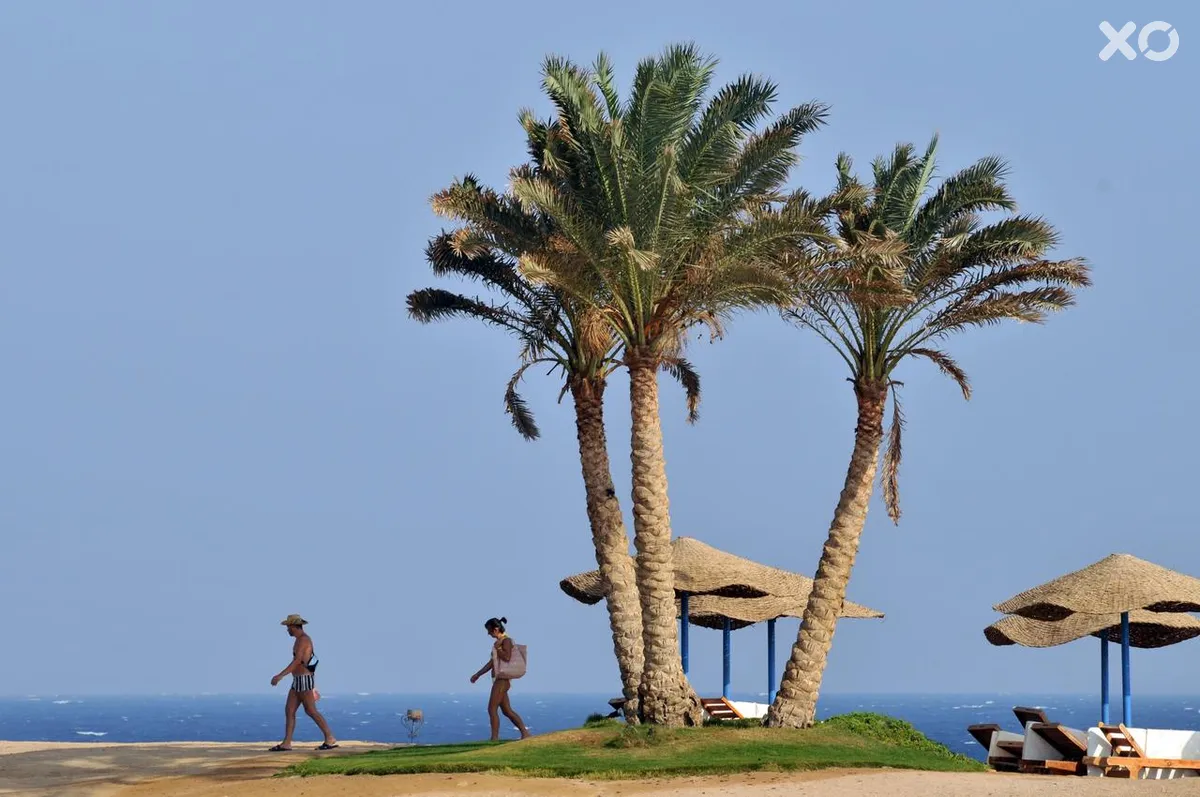 Solymar Reef Marsa