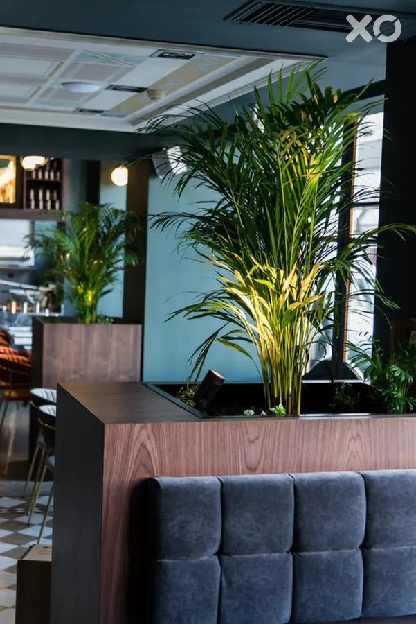 The Bristol Hotel