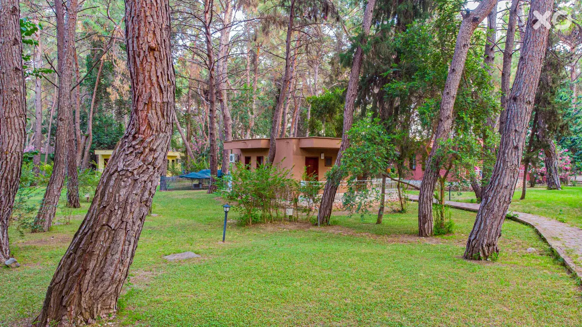Club Pinara