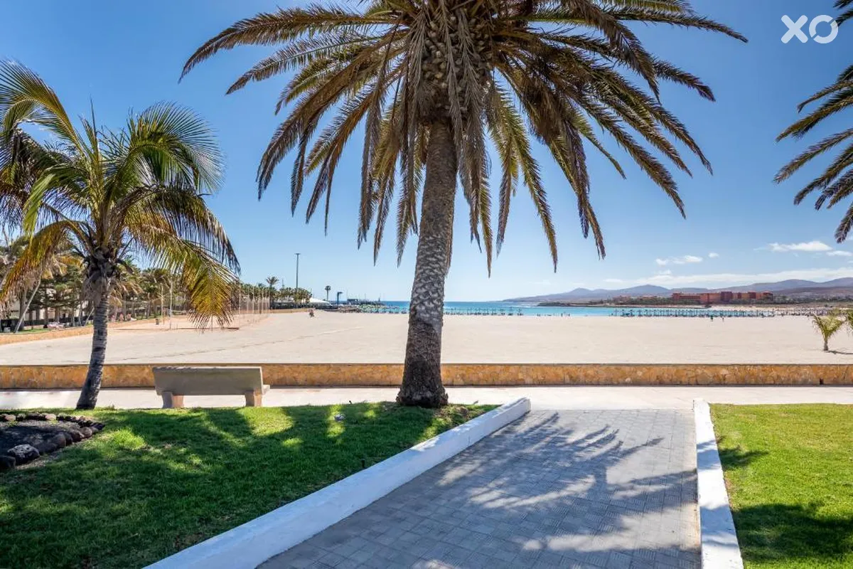 Barcelo Fuerteventura Royal Level Adults Only