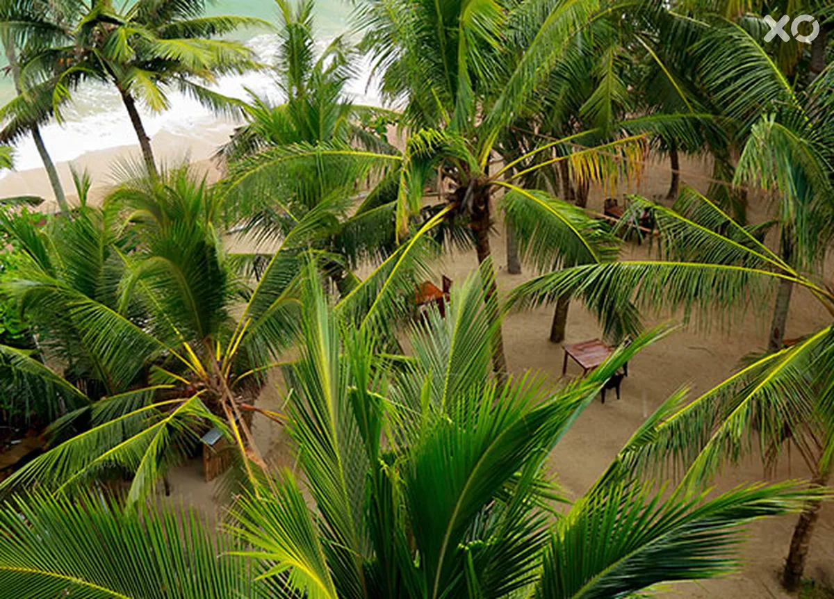 Ceylon Sea Hotel & Spa