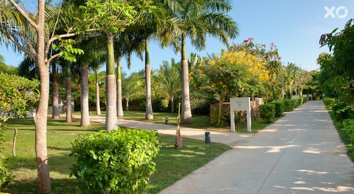 Melia Zanzibar