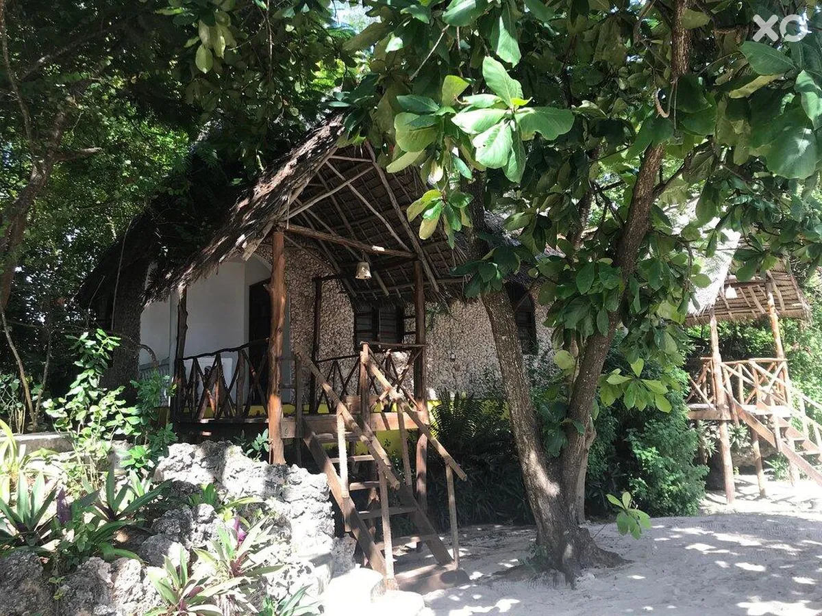 Sharazad Oasis