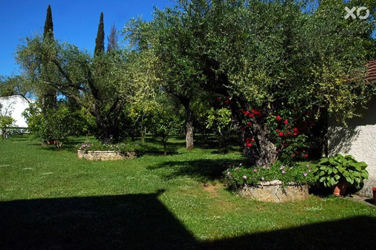 Omirico Hotel & Apartments