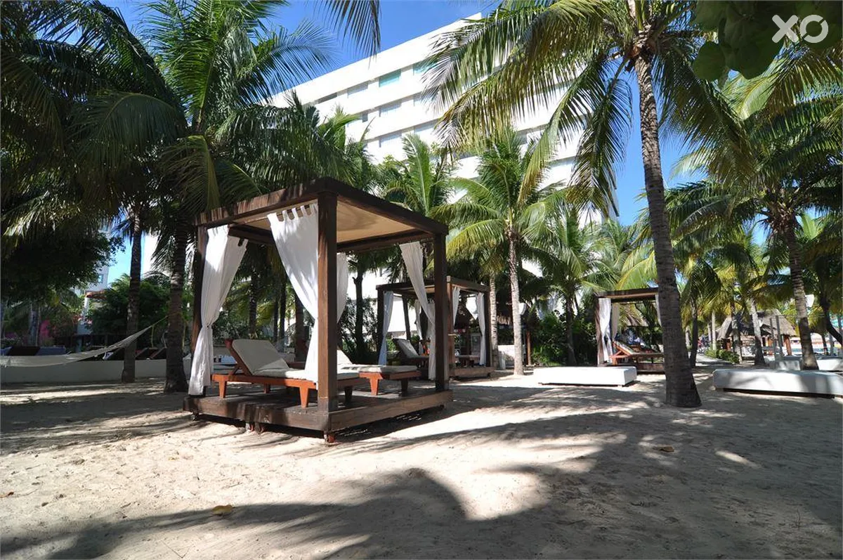Grand Oasis Palm