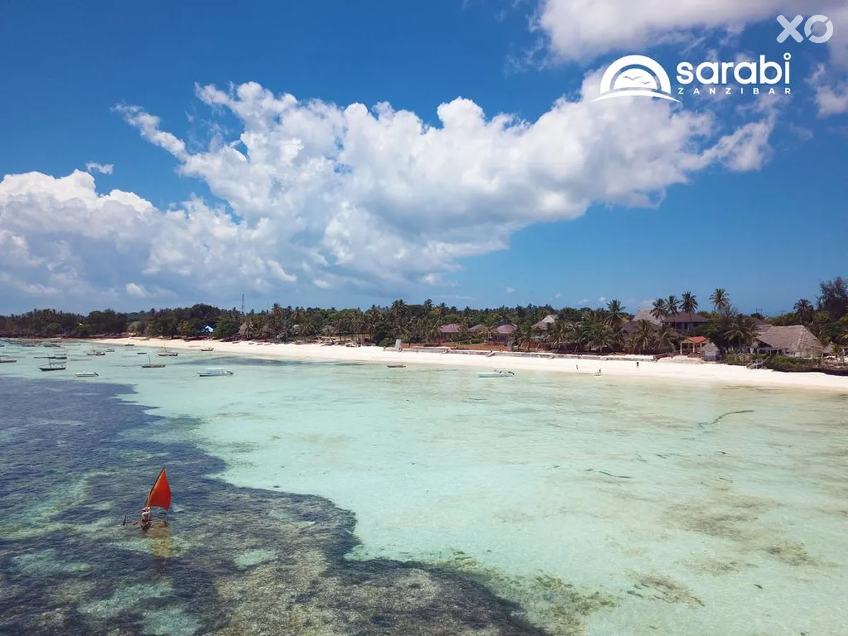 Mandarin Zanzibar