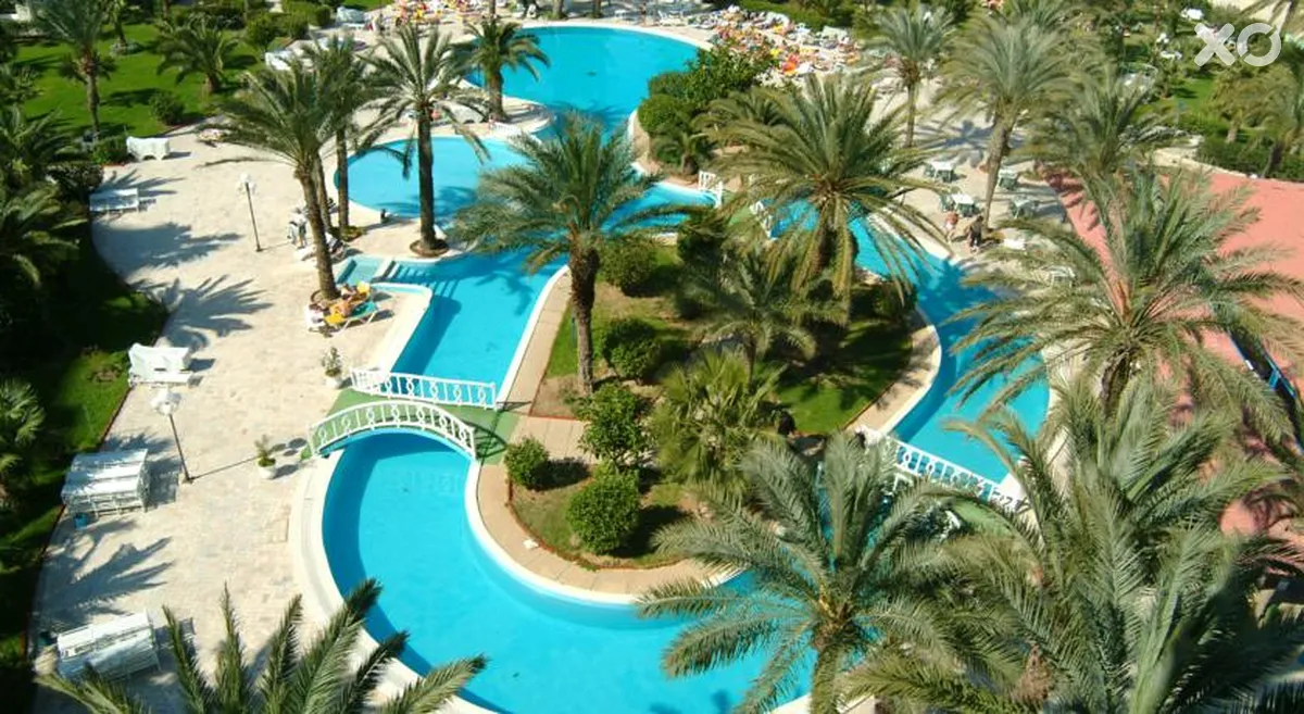 Riadh Palms