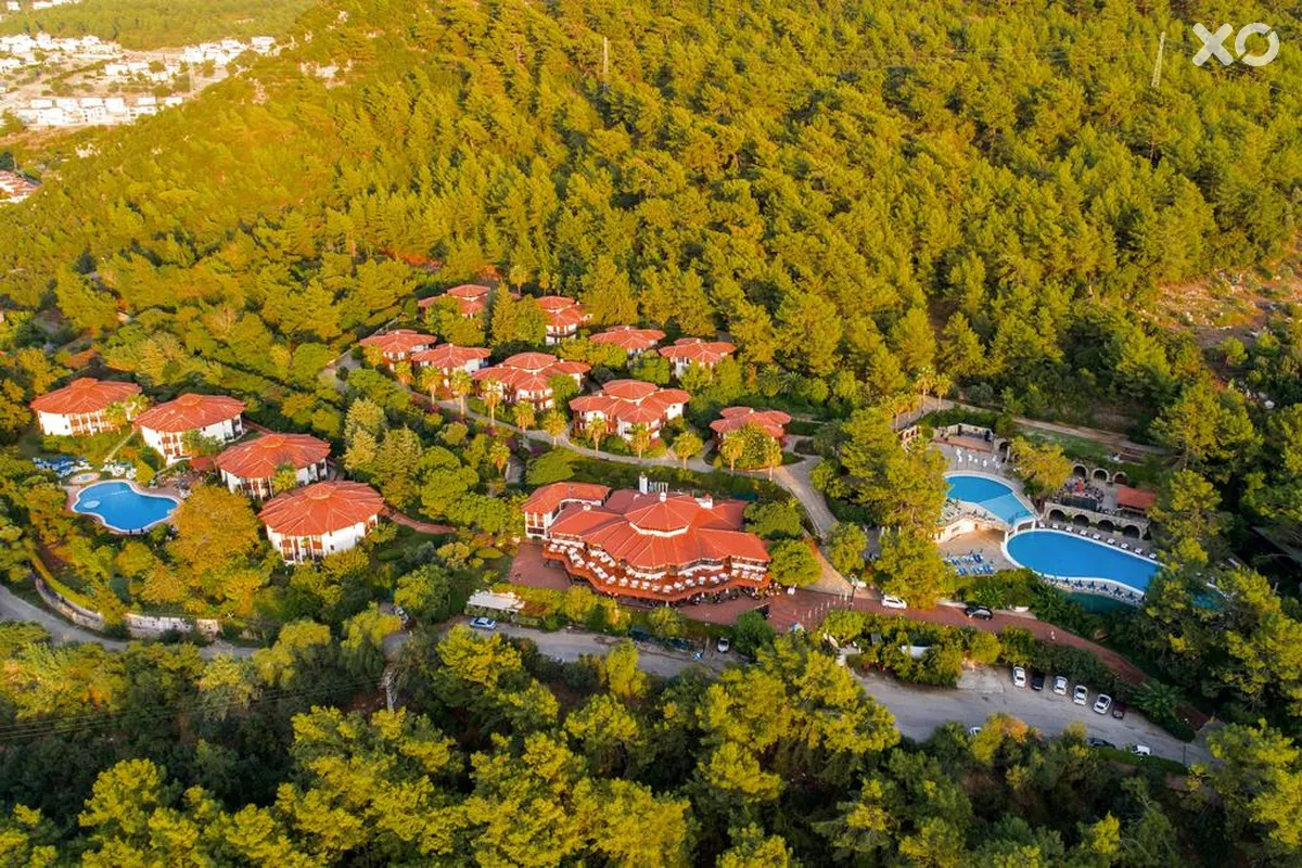 Montana Pine Resort