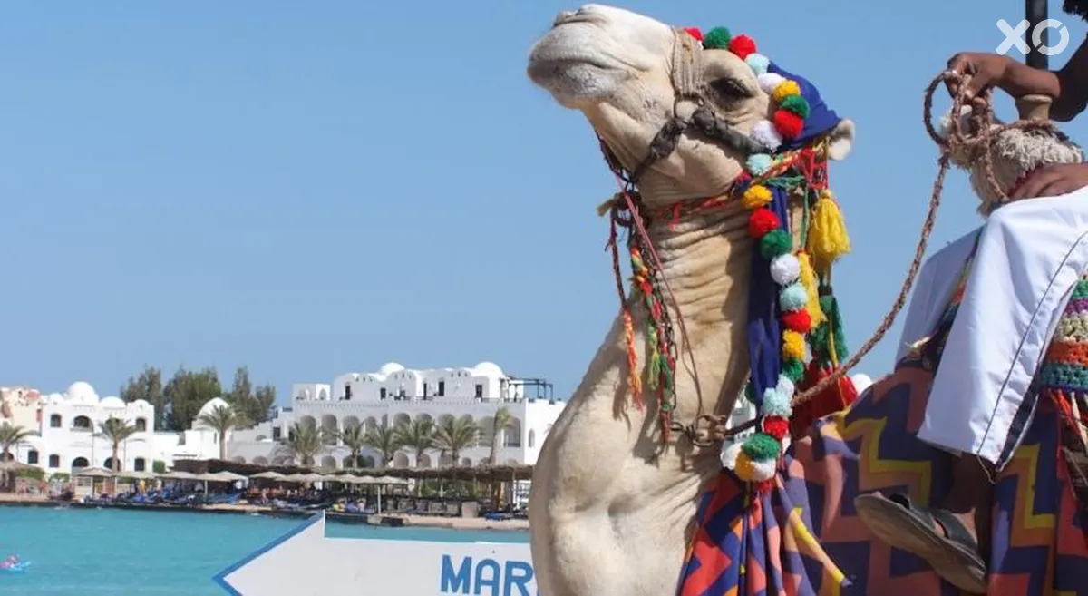 Arabia Azur Resort