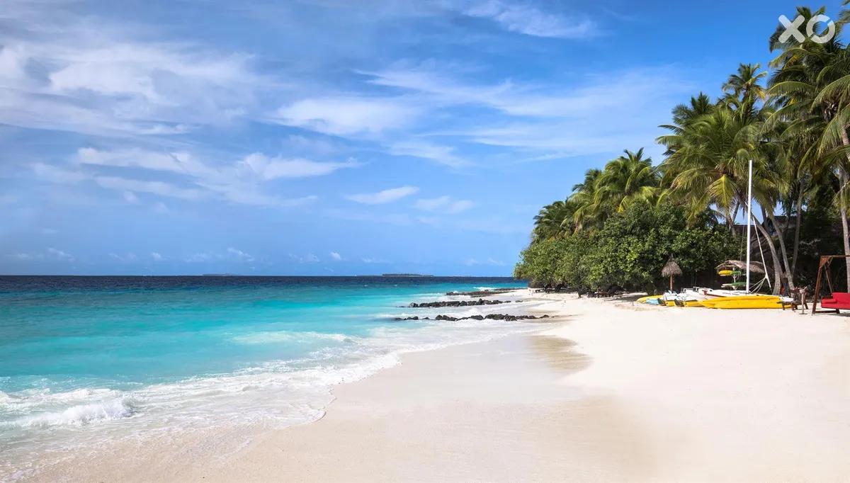 Taj Coral Reef Resort & Spa