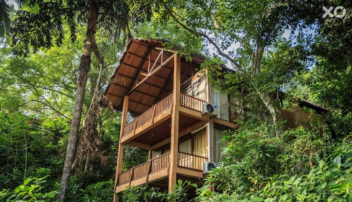 Jungle Village by Thawthisa