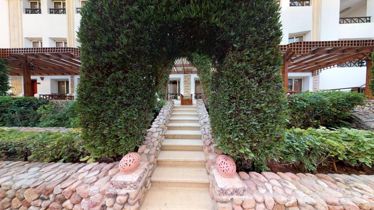 Falcon Naama Star Hotel