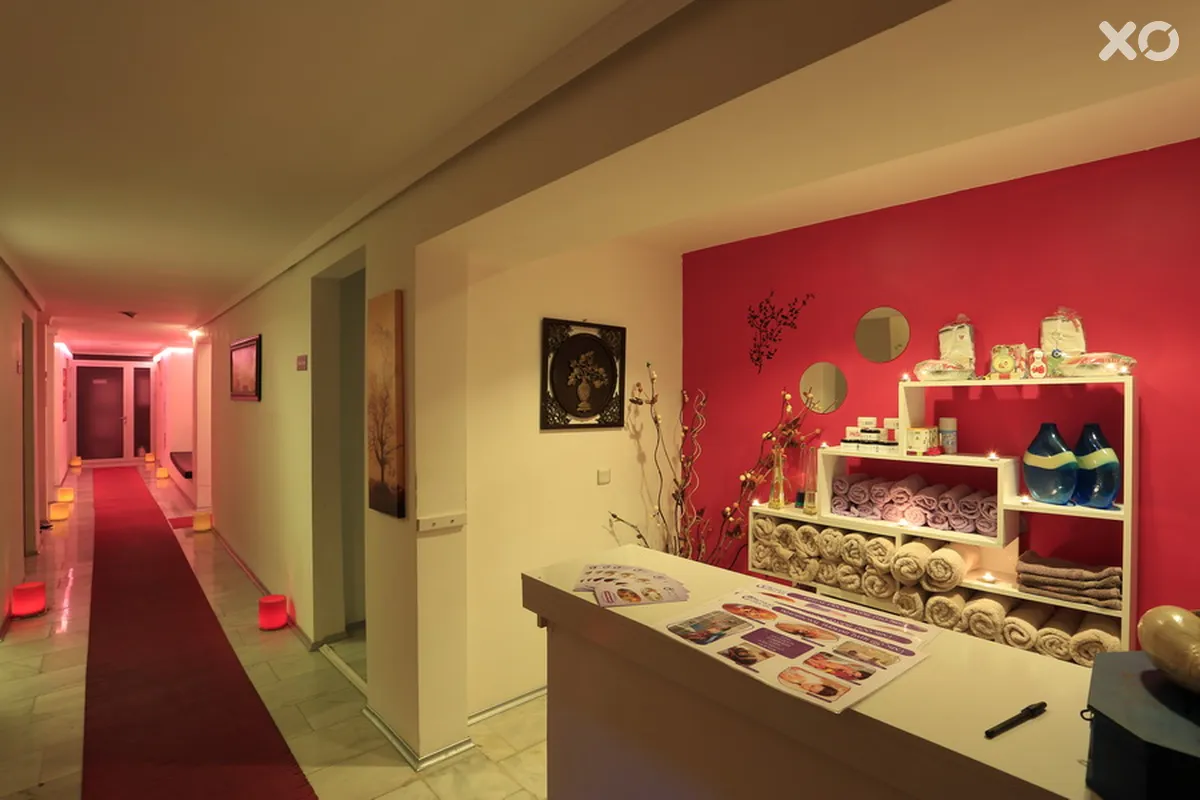 Alenz Suite