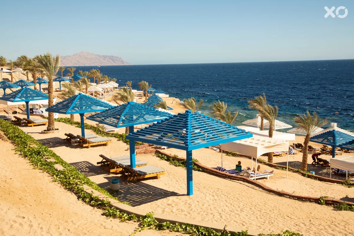 Grand Oasis Resort