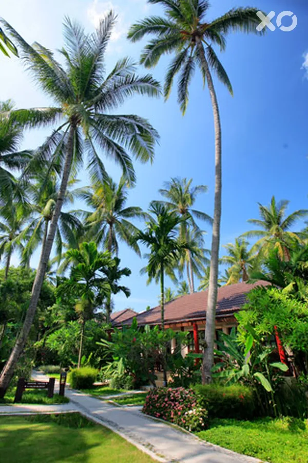 Baan Chaweng Beach Resort & Spa