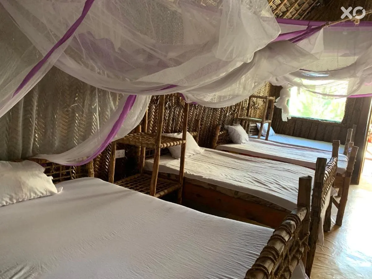 New Jambo Bungalows