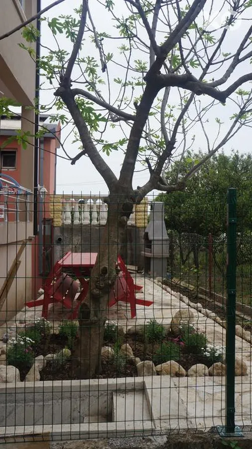 Lora Apartments
