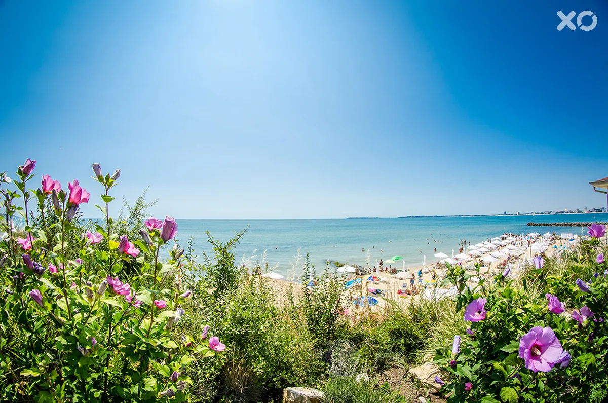 Premier Fort Beach