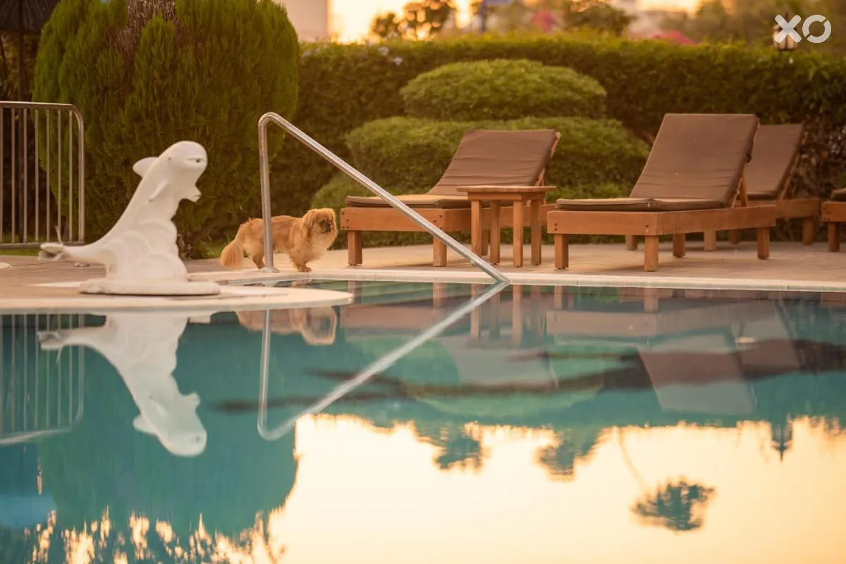 Golden Moon Hotel