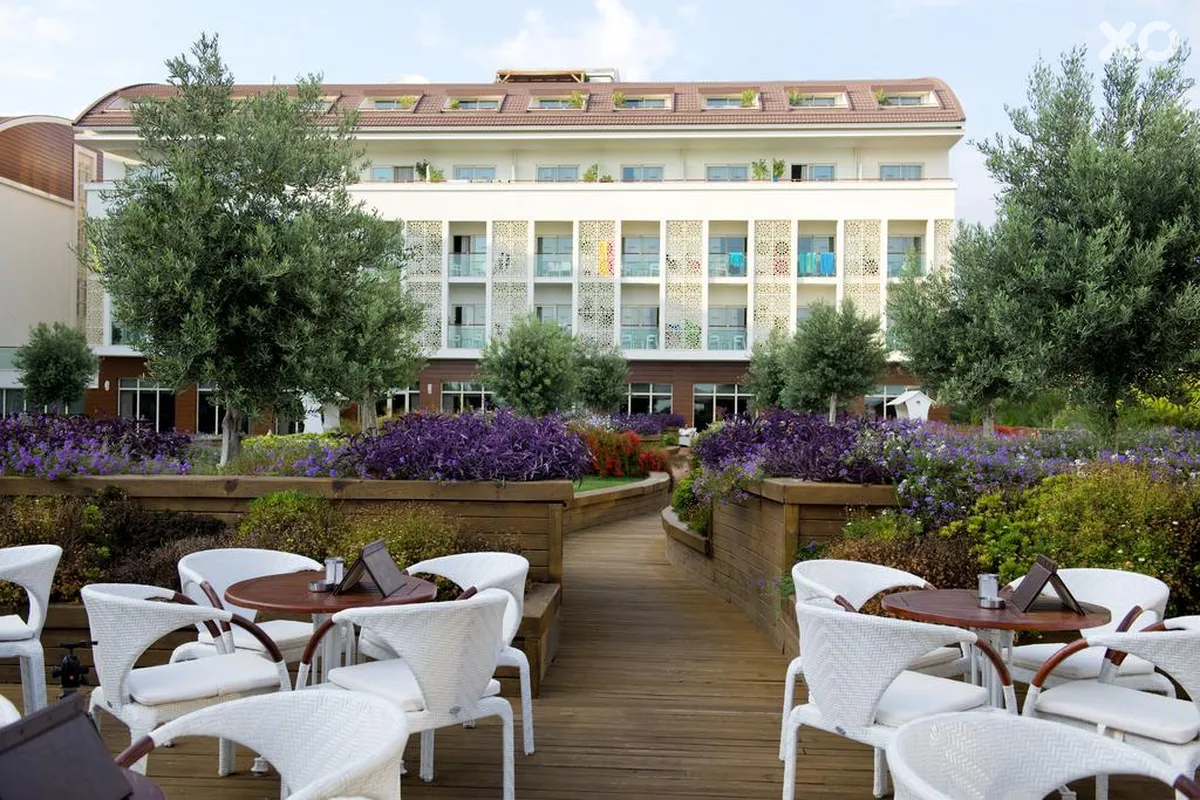 Trendy Verbena Beach