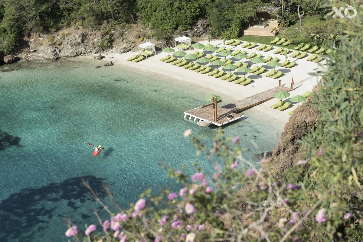 D Maris Bay