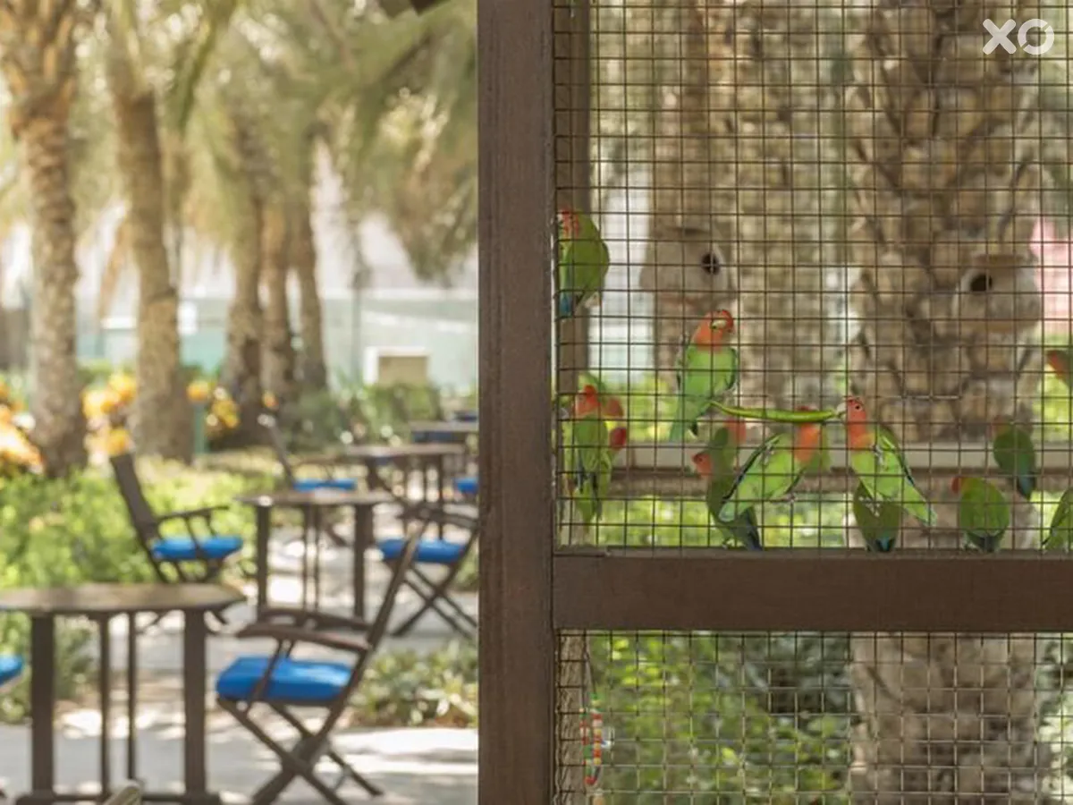 Coral Beach Resort Sharjah