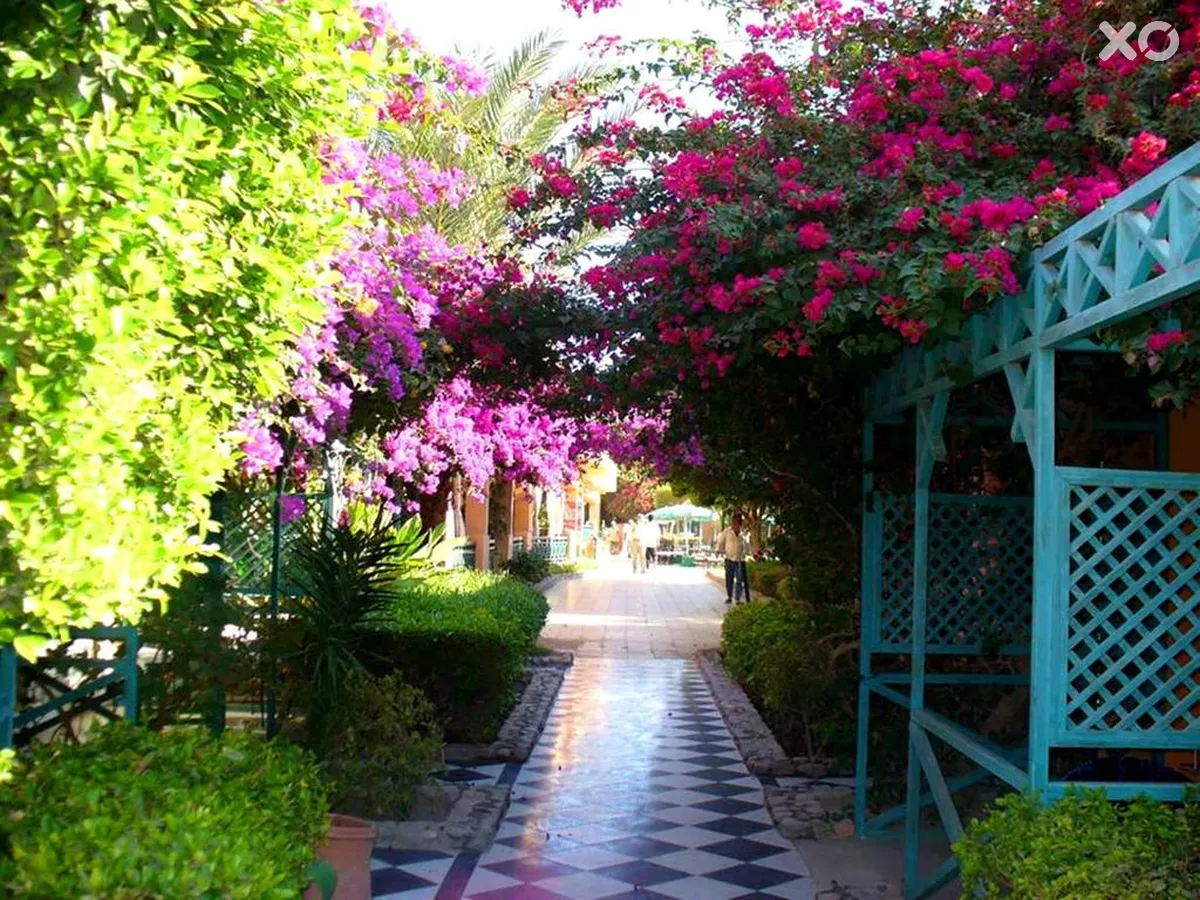 Giftun Azur Resort