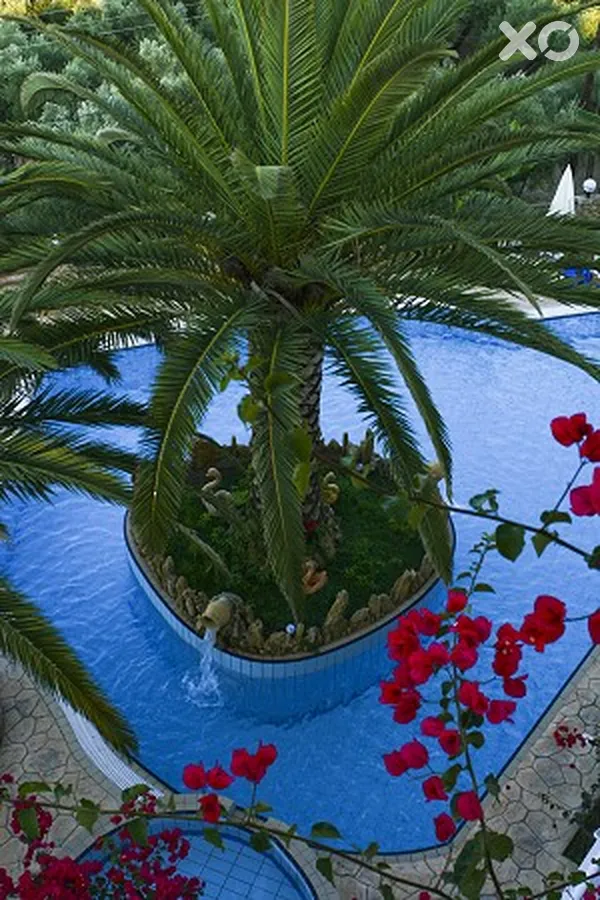 Zante Calinica Apartments