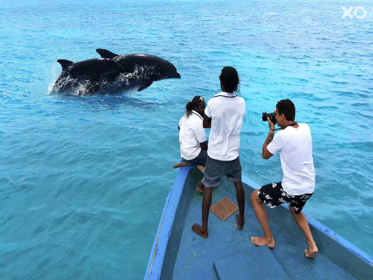 Cocoon Maldives