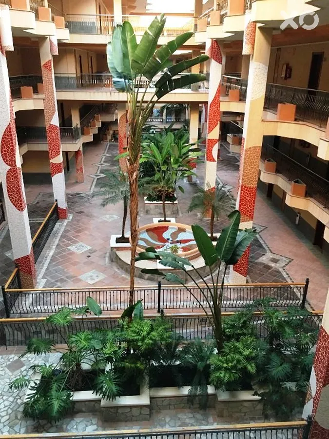 Riu Buena Vista