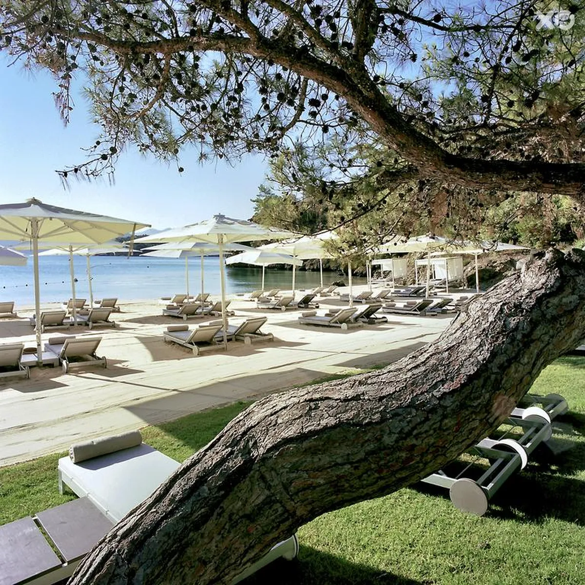 D Maris Bay