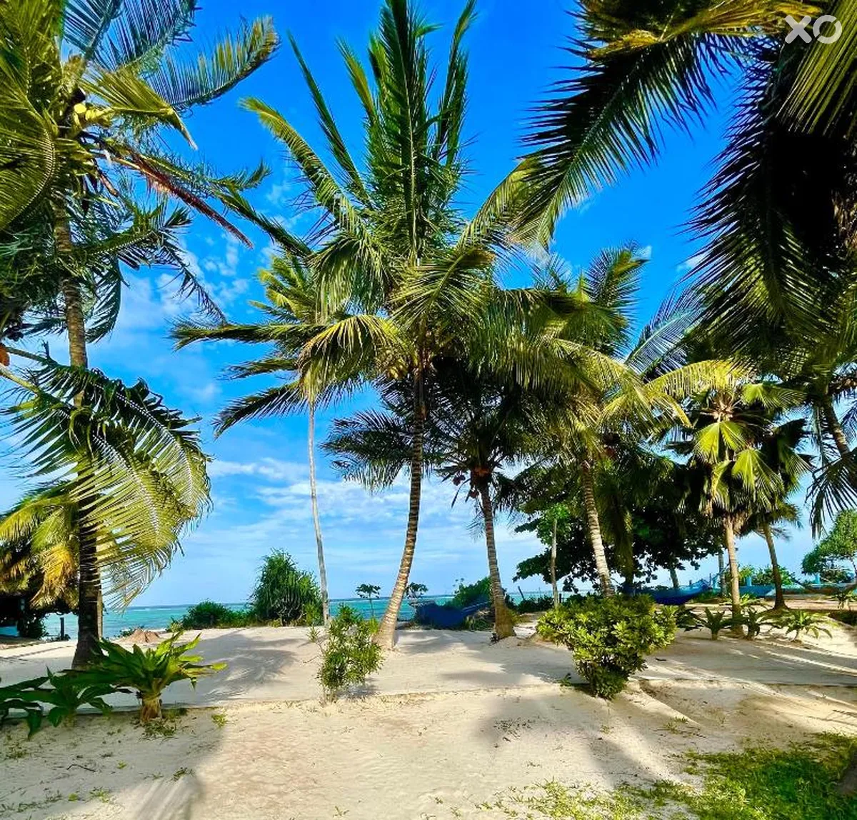 Mambo Beach Villas