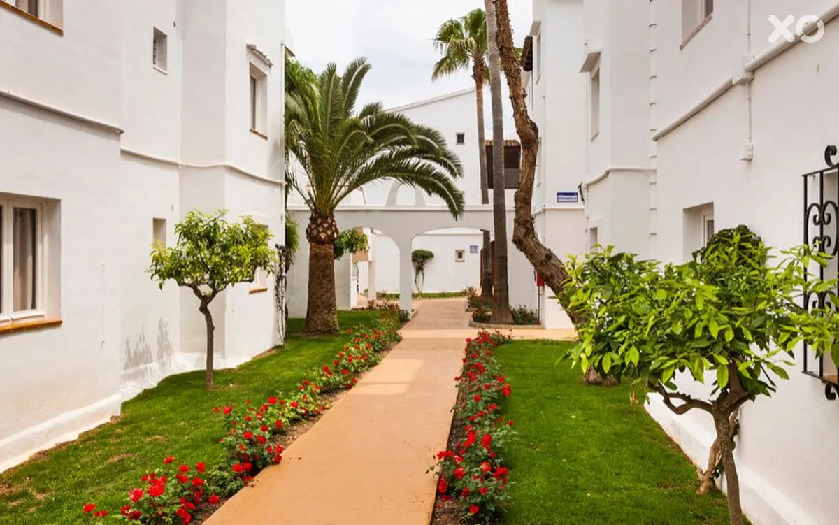 Globales Bouganvilla