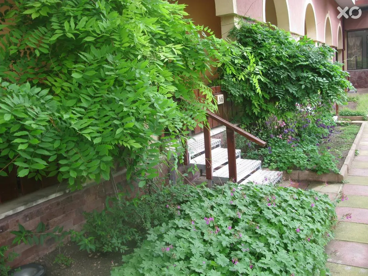 Estreya Residence Hotel