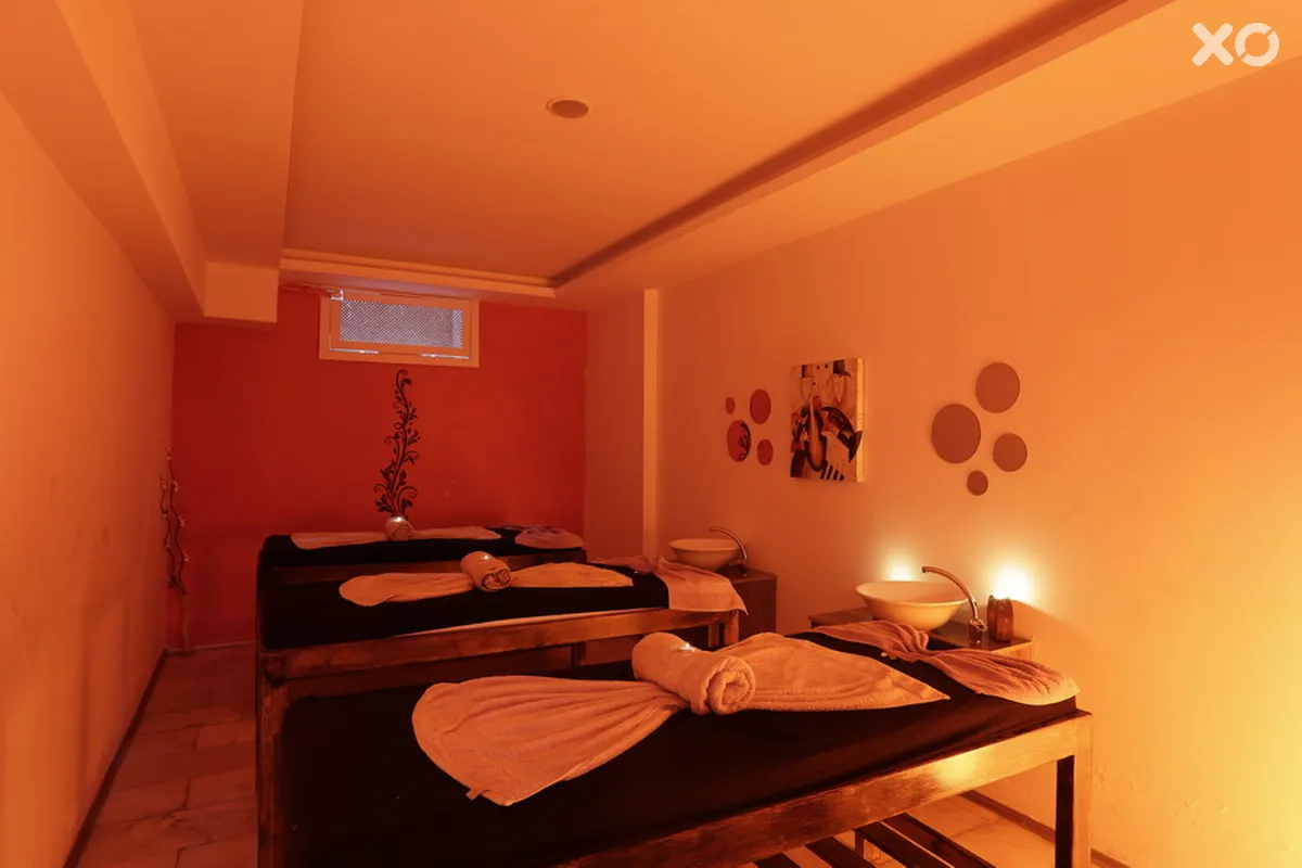 Alenz Suite