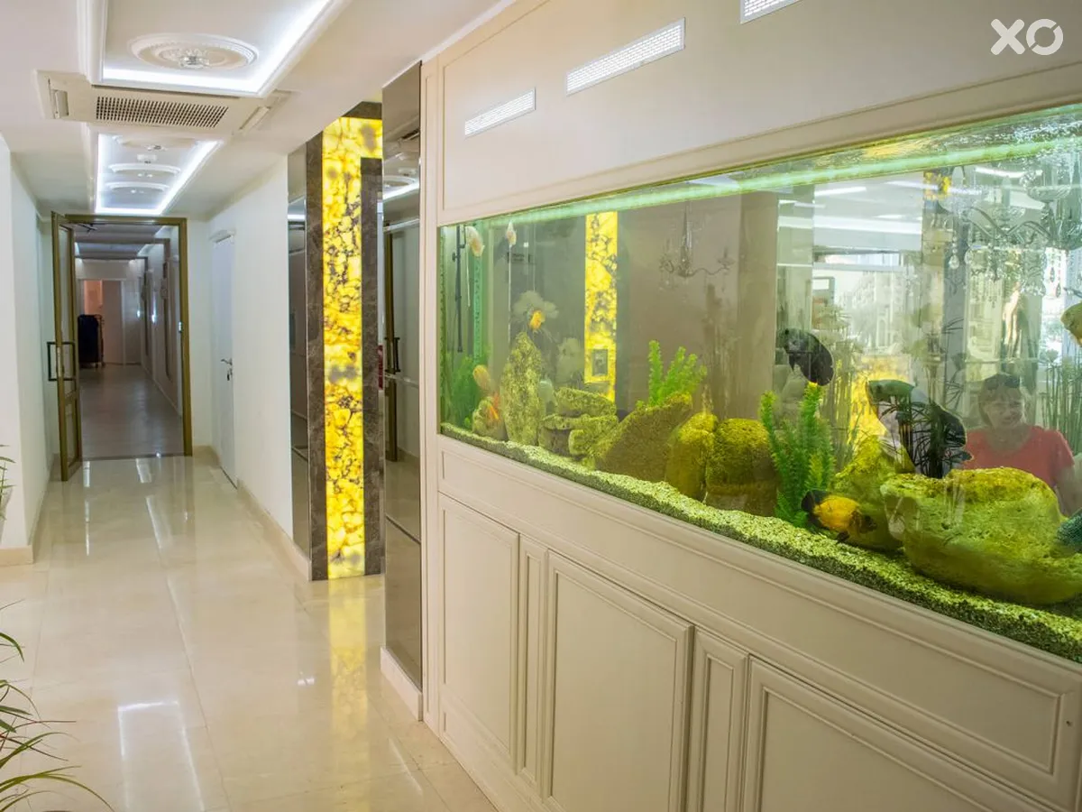Harmony Suites 8 & 9