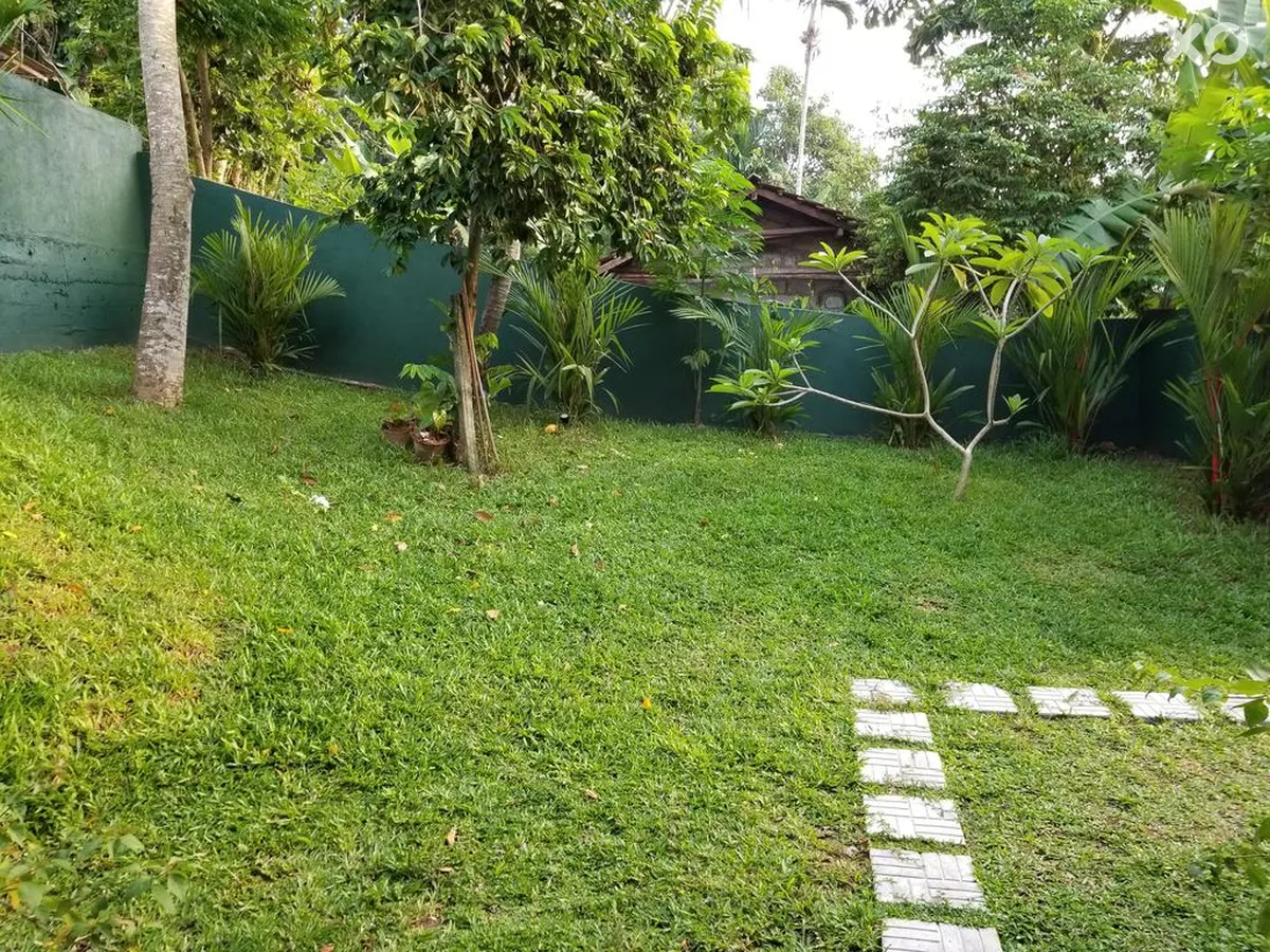 Coral Palm Villa & Apartment