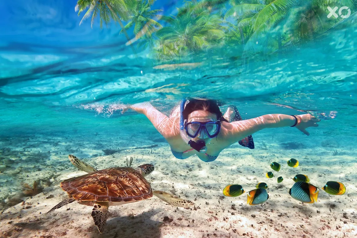 Sun Siyam Vilu Reef