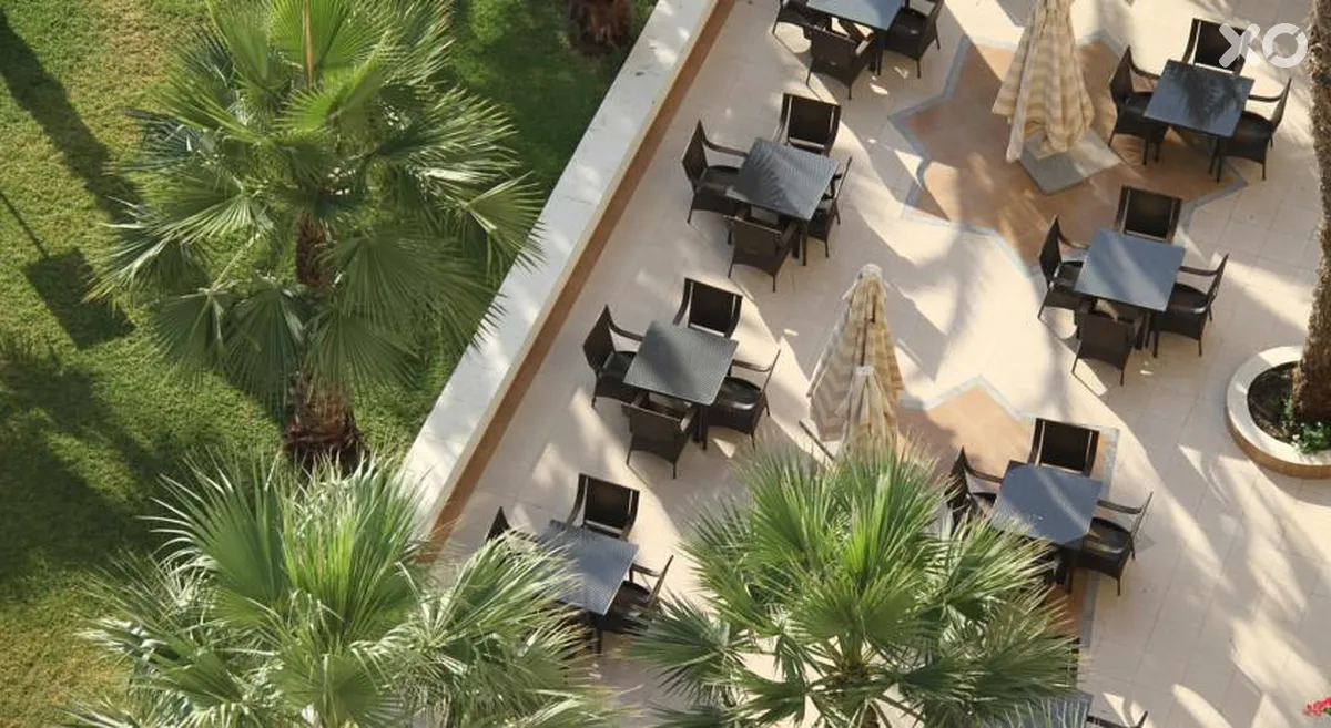 Riadh Palms