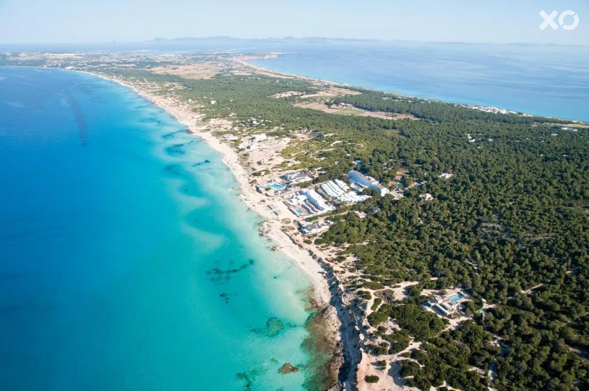 Riu La Mola Hotel