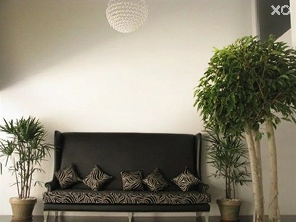 Sleep With Me Hotel design hotel @ patong