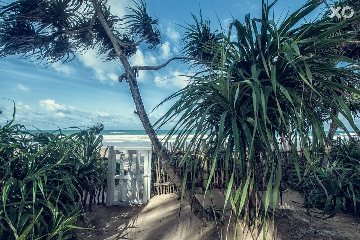 Taru Villas 906