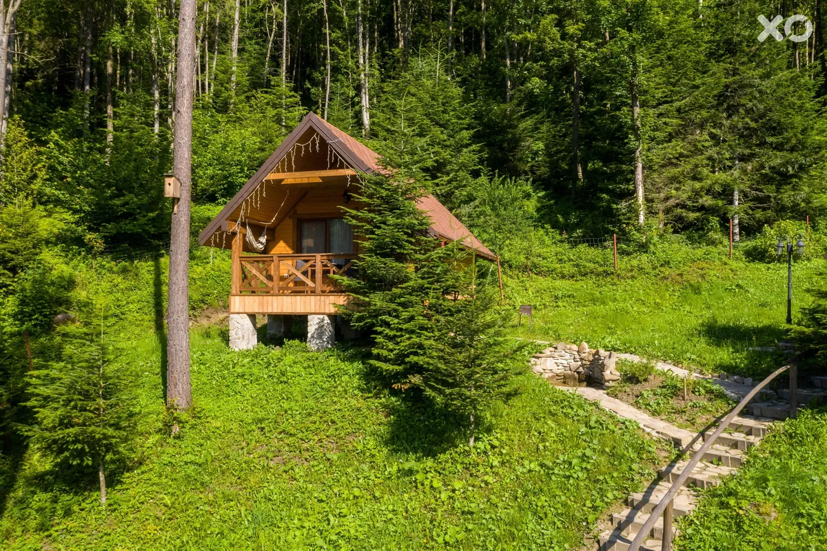 Осоння Карпати