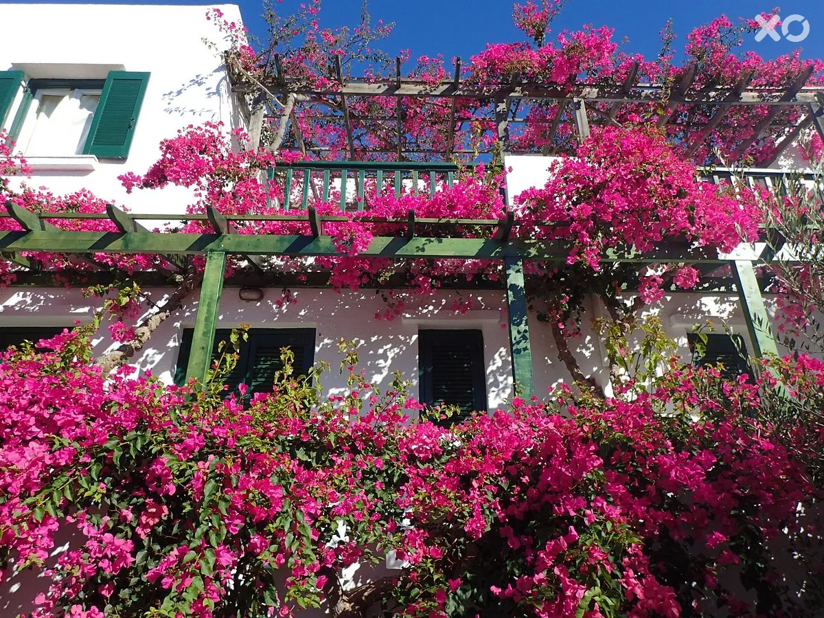 Villea Village