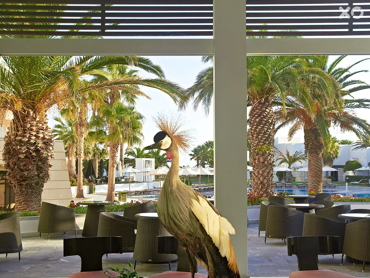 Creta Palace Grecotel Luxury Resort