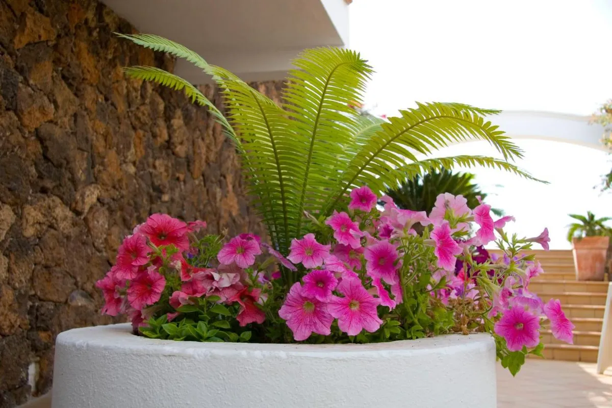 Esquinzo Y Monte Del Mar Aparthotel